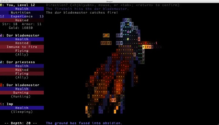 A screenshot of Brogue